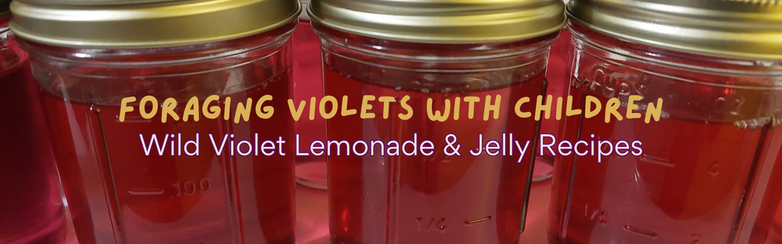 Foraging Violets with Children: God’s Sweet Springtime Surprise (Plus Recipes for Violet Lemonade & Violet Jelly!)