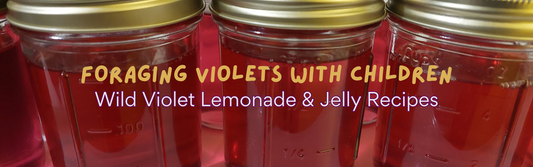 Foraging Violets with Children: God’s Sweet Springtime Surprise (Plus Recipes for Violet Lemonade & Violet Jelly!)
