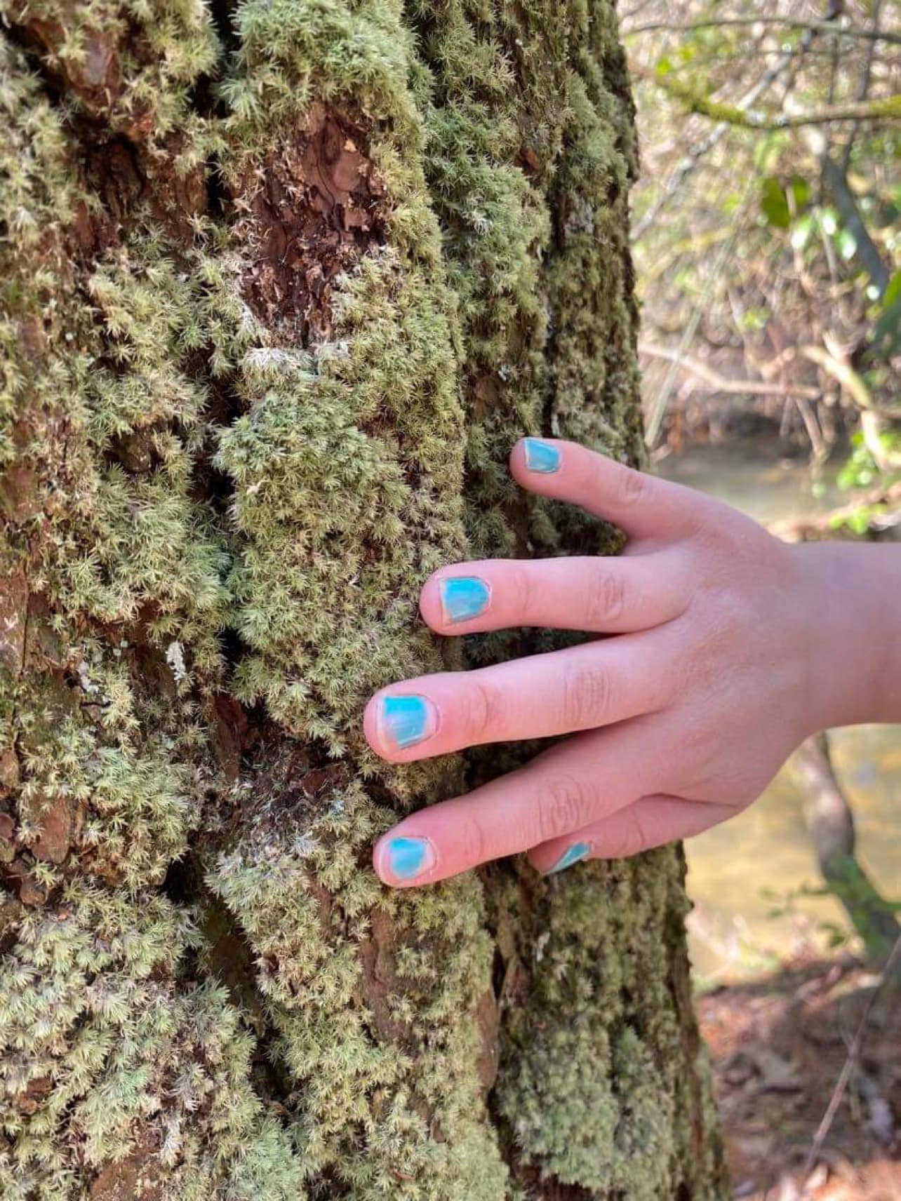 Moss & Lichen Adventure Club Lesson Plans