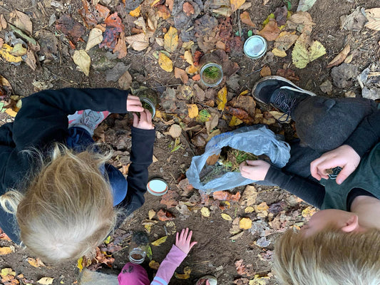 Moss & Lichen Adventure Club Lesson Plans