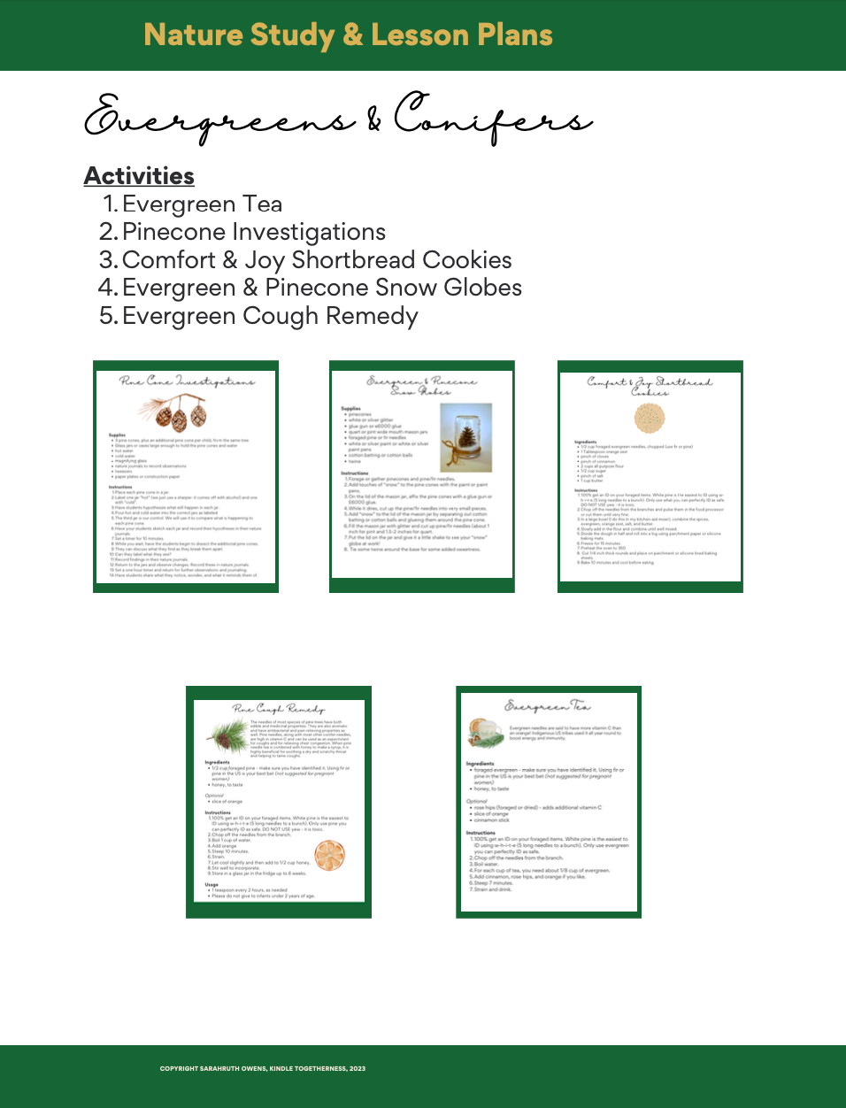 Evergreens & Conifers Adventure Club Lesson Plans
