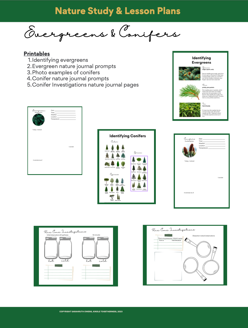 Evergreens & Conifers Adventure Club Lesson Plans