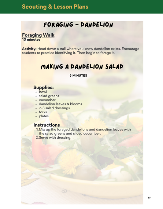 Spring Foraging Adventure Club Lesson Plans