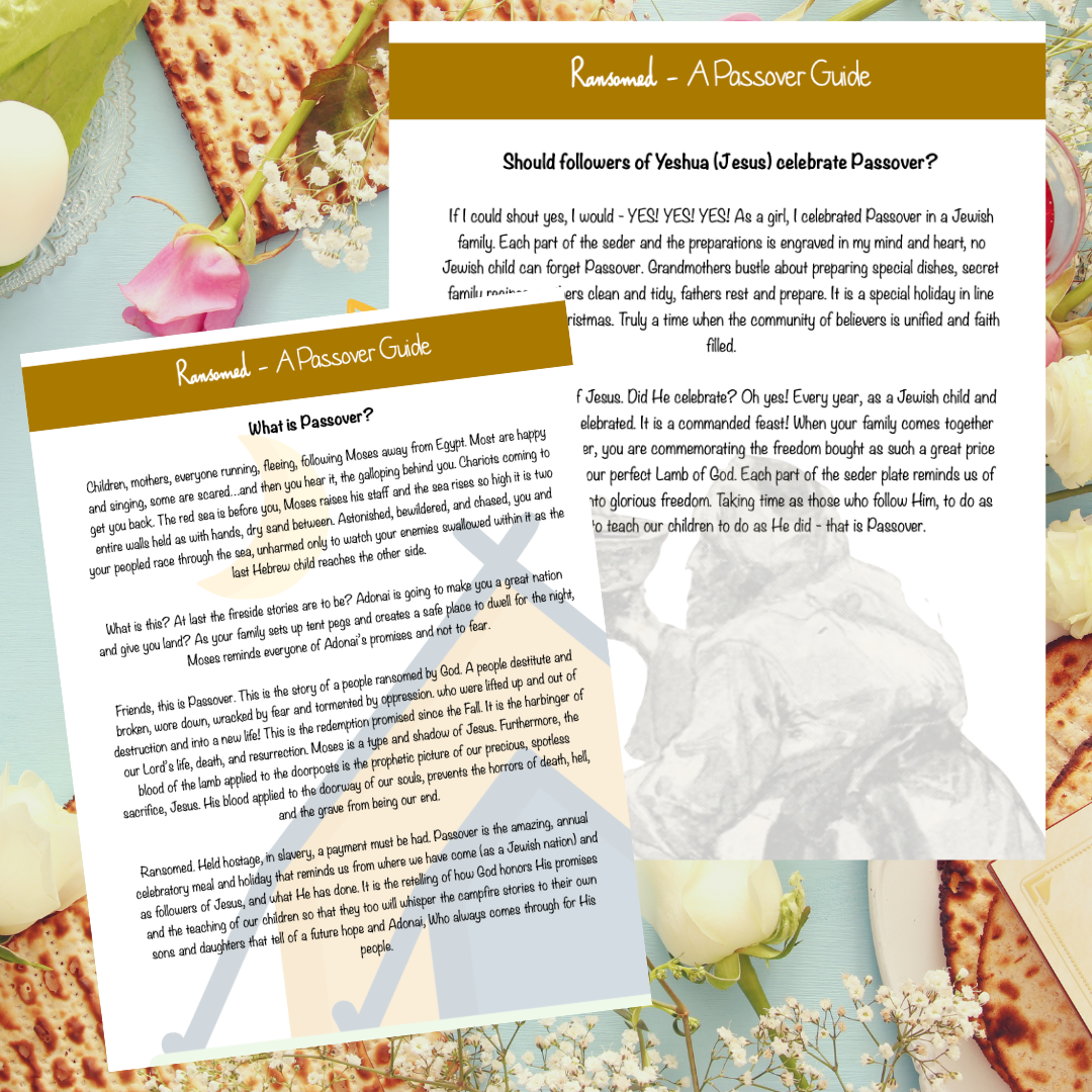 Ransomed - A Passover Guide