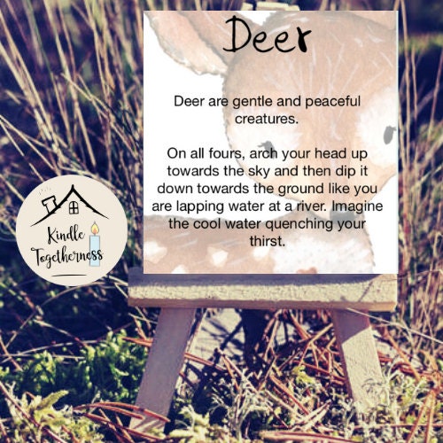 Nature Affirmation Cards - Grounded Movement