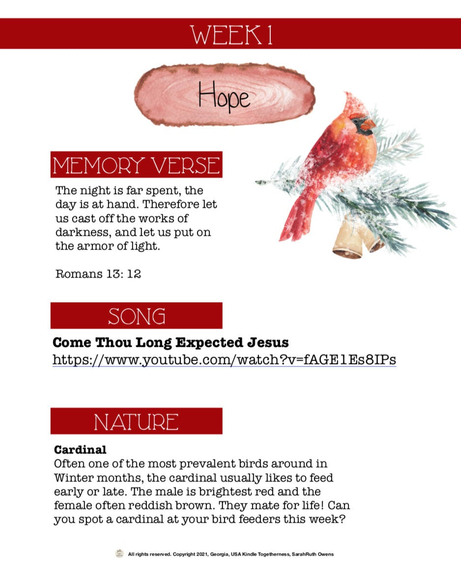 Heaven & Nature Sing - A Gentle Advent for Littlest Hearts