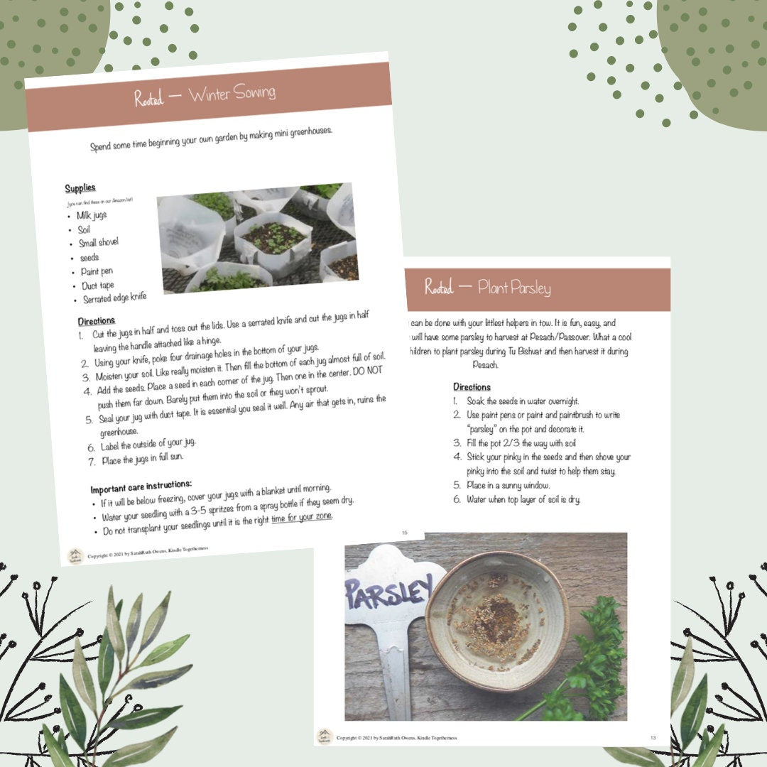 Rooted: A Tu Bishvat Guide