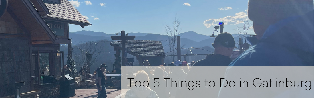 Top 5 Things for Families to do in Gatlinburg, TN