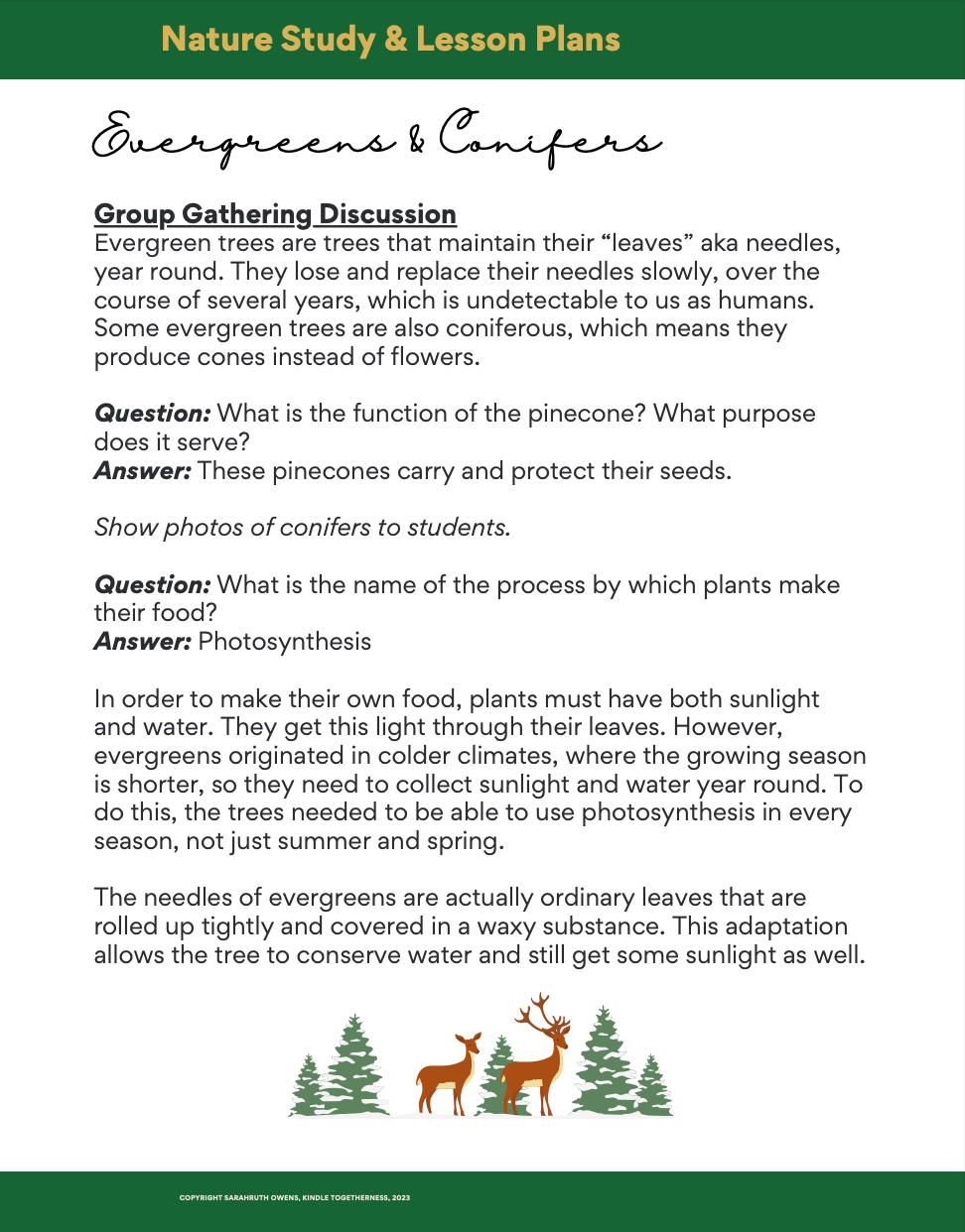 Evergreens & Conifers Adventure Club Lesson Plans