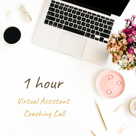 Virtual Assistant Coaching Call